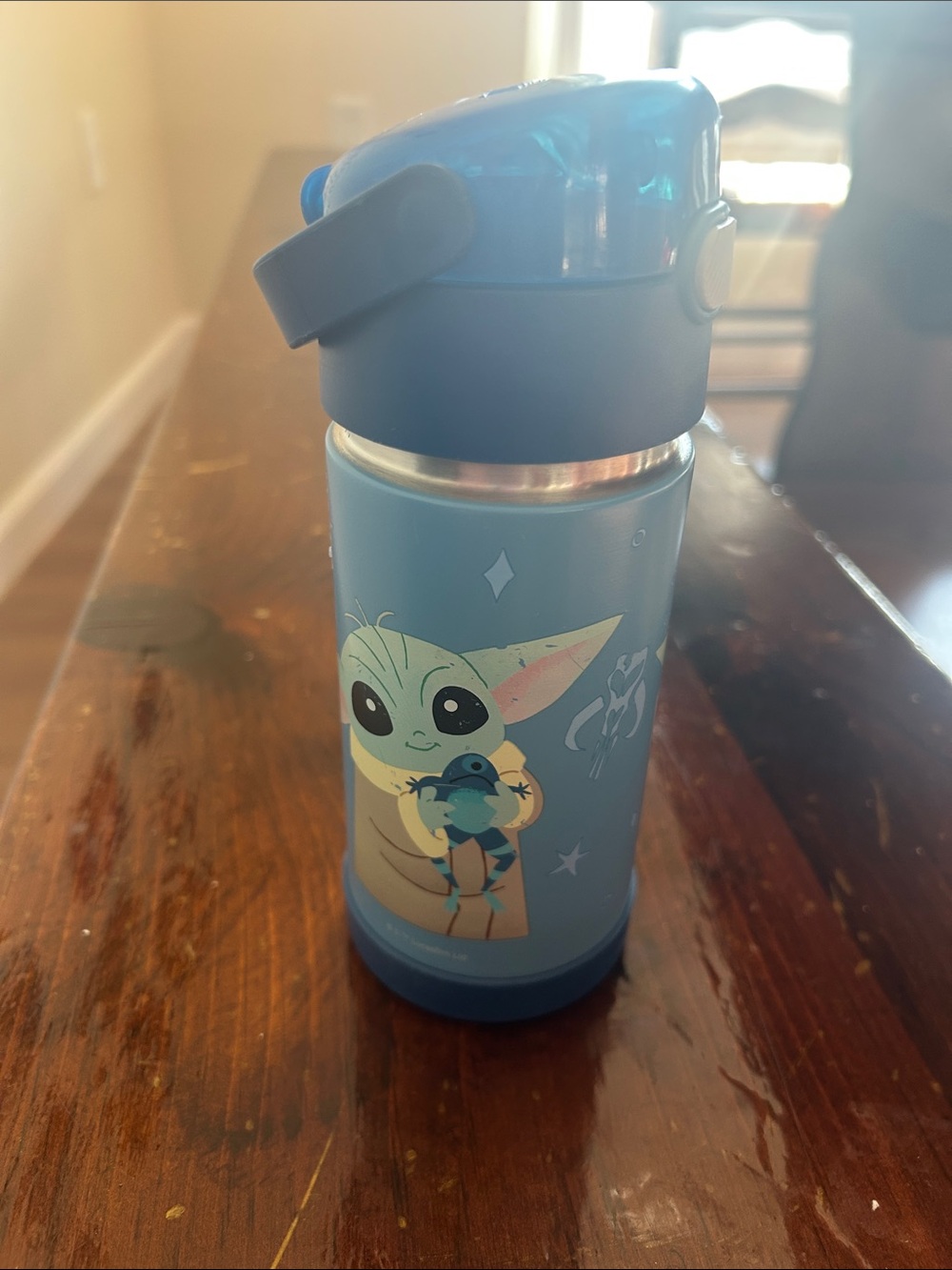 Thermos blue Baby Yoda (Grogu) Stainless Water Bottle